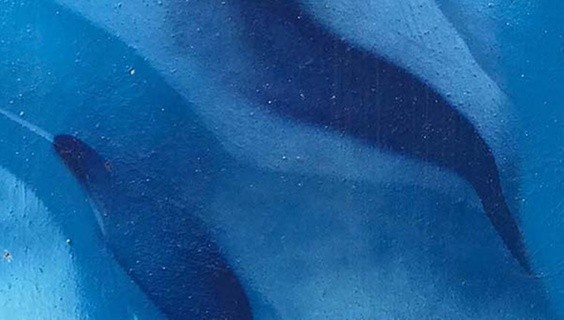 Standing against racial discrimination and violence and in support of the Asian & Pacific Islander communities 