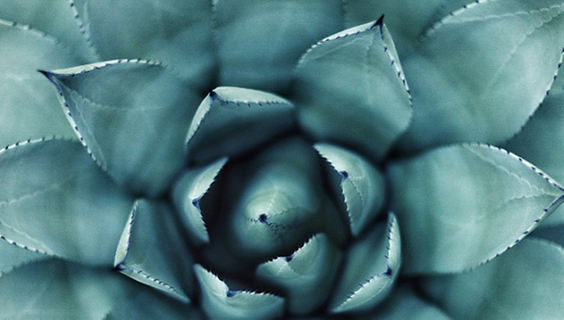 ResearchGate partnership and COUNTER 5 usage reporting