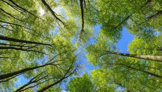 Environmental benefits of sustainable materials: opportunities for the next decade