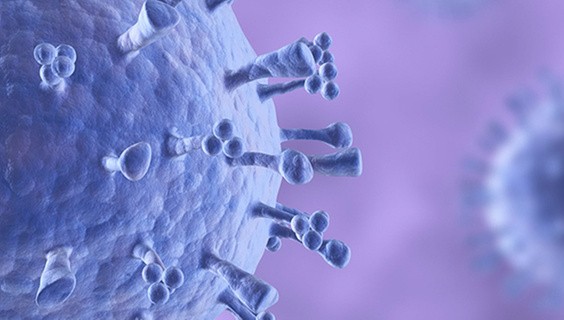 The “Women in Immunology” initiative