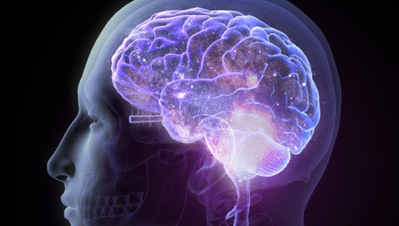 Brain Awareness Week