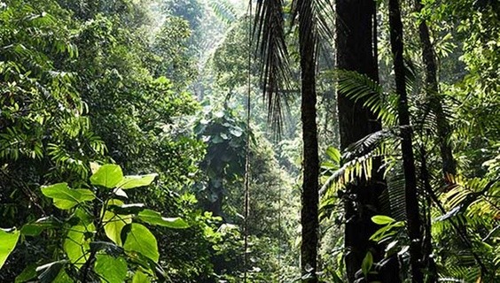 The Satoyama Initiative: Integrating conservation and the sustainable use of biodiversity