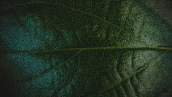 The John Maddox Prize: Recognising researchers who stand up for science