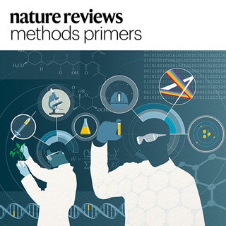 Nature Reviews Methods Primers: Bridging gaps between disciplinary silos