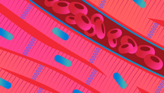 Launching Nature Cardiovascular Research: Why this journal is important for the cardiovascular research community