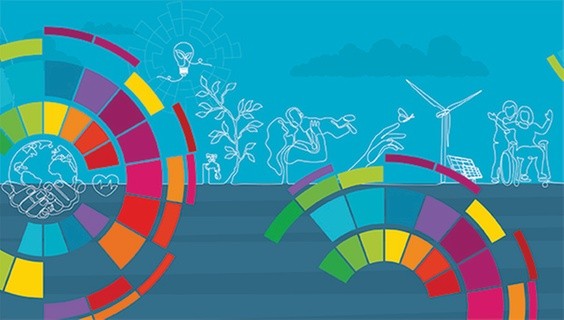 How can librarians support Sustainable Development Goals (SDGs) research?