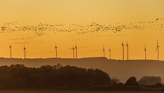 Nature Climate Change, Gender Equality and Human Rights