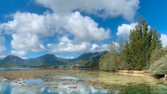 Open access and SDG13: Approaching the climate crisis as a global social problem