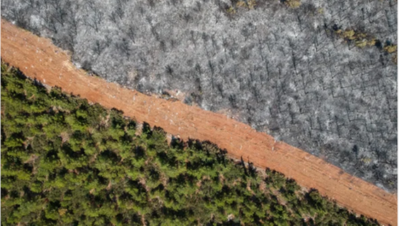 Open for Climate Justice: Considering the Societal Dimension of Climate Change