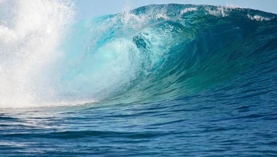 Surfing the Waves of Ocean Sustainability on World Ocean Day