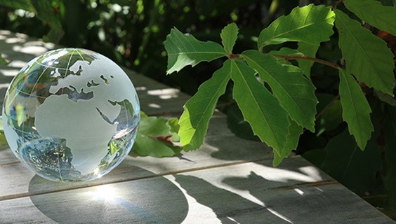 Libraries: The SDGs' driving force – Interview with Gerald Beasley at Cornell University