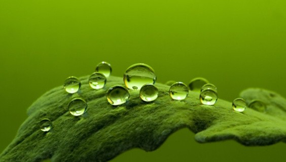 The art of science: Exploring the images behind the latest research