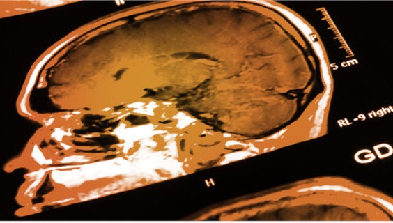 The Medicine Collection