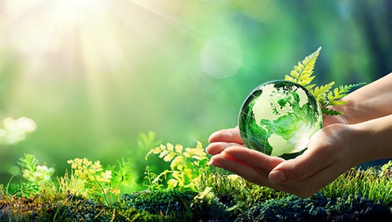 Défis et opportunités de la science ouverte pour la publication scientifique dans le domaine de la foresterie