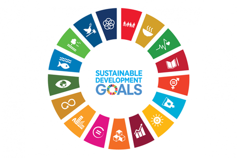 Accelerating action towards the Sustainable Development Goals