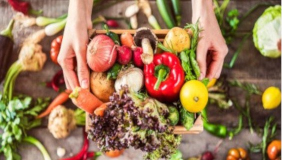 Food security and sustainability from a microbiology perspective