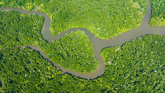 Sustainable Tourism’s role in achieving SDG 8