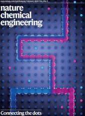 nature chem engg