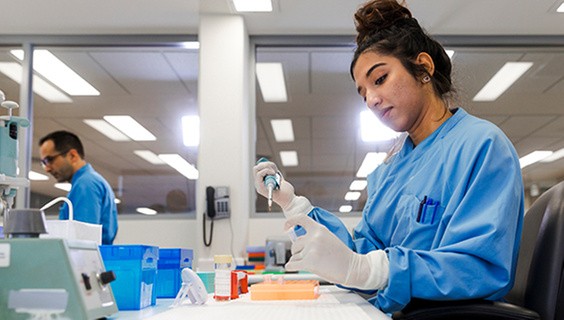 What does putting DEI into practice at the Nature Reviews journals really look like? 