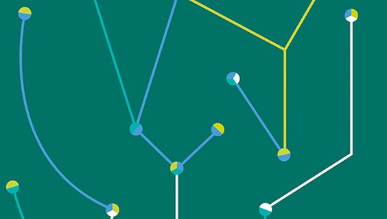 Celebrating China’s Impact on Global Sustainable Development Research