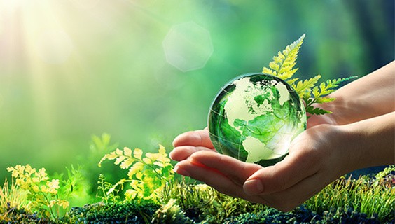 ϳԹ’s charitable contributions — made possible by authors like you