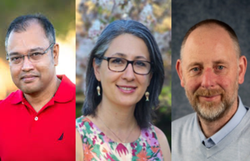 What role can technology play in the peer review process? 