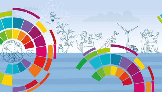The SDG Book Series: Interdisciplinary, policy-relevant research 