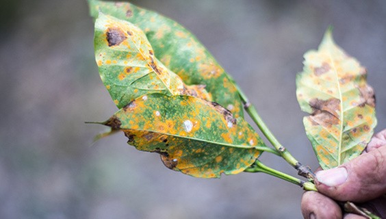 T_056Q3_SDG-2025_SDG1_600x340px_G694659917_