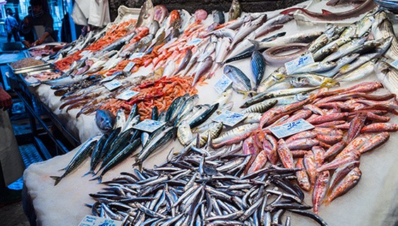 T_056Q3_SDG-2025_600x400px_SDG2_653412188