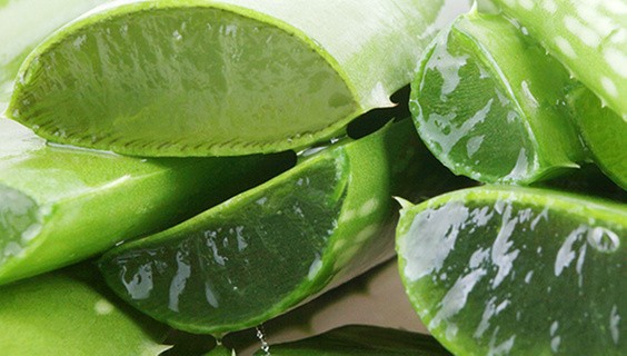 T_056Q3_SDG-2025_600x400px_SDG2_638590606