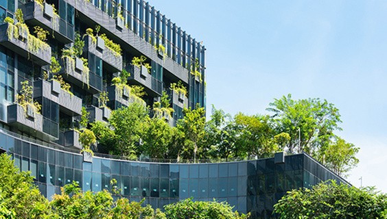 T_056Q3_SDG-2025_600x400px_SDG11_1452466172