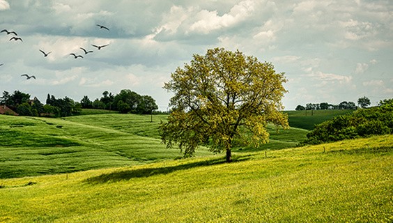 T_056Q3_SDG-2025_600x400px_SDG13_1412897605