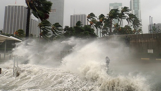 T_056Q3_SDG-2025_600x400px_SDG13_847369112