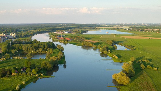 T_056Q3_SDG-2025_600x400px_SDG15_1490664382