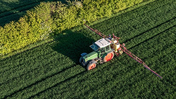 T_056Q3_SDG-2025_600x400px_SDG15_1472395811