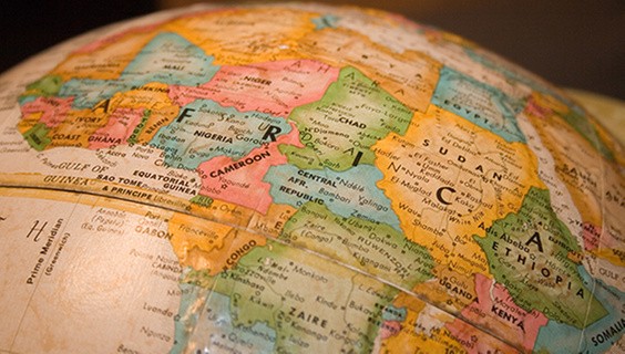 Case study: How one collection led to real-world policy impact and academic recognition