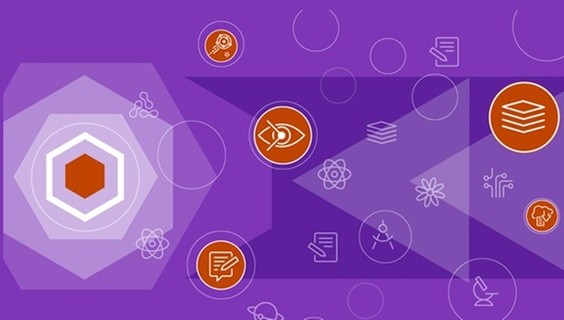 OA agreement stories: University Lumière Lyon 2, France  