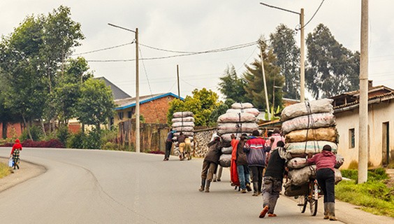 AdobeStock_259032934