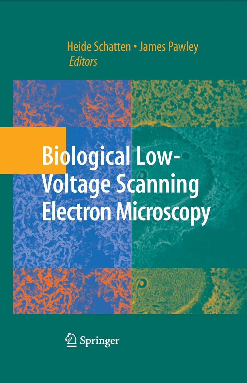 6. 10 dạng bài tập về Low Voltage Scanning Electron Microscopy