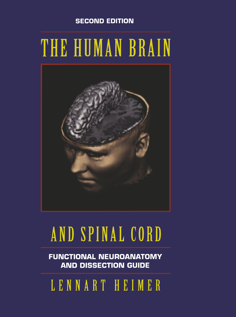 The Human Brain and Spinal Cord: Functional Neuroanatomy and
