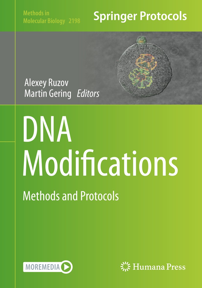 DNA Modifications: Methods and Protocols | SpringerLink