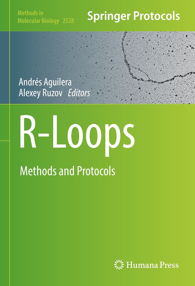 R loops. R loops
