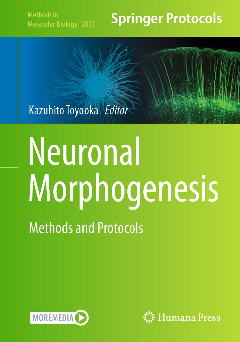 洋書 MORPHOGENESIS From morphogen to morphogenesis and back | Nature