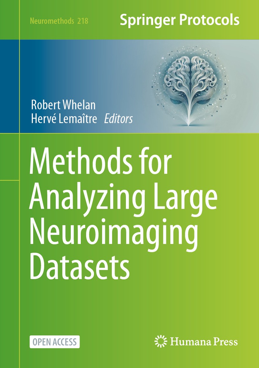 Methods for Analyzing Large Neuroimaging Datasets | SpringerLink