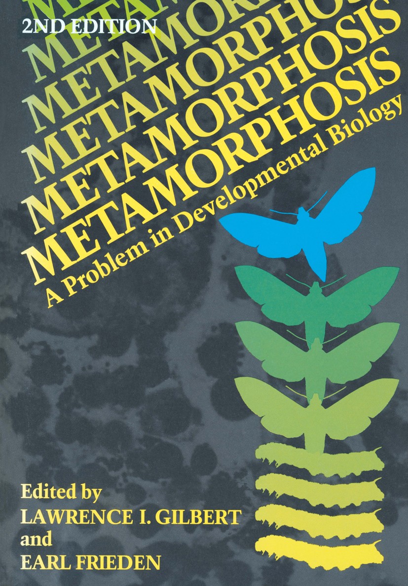 Transitions in the Nervous System during Amphibian Metamorphosis