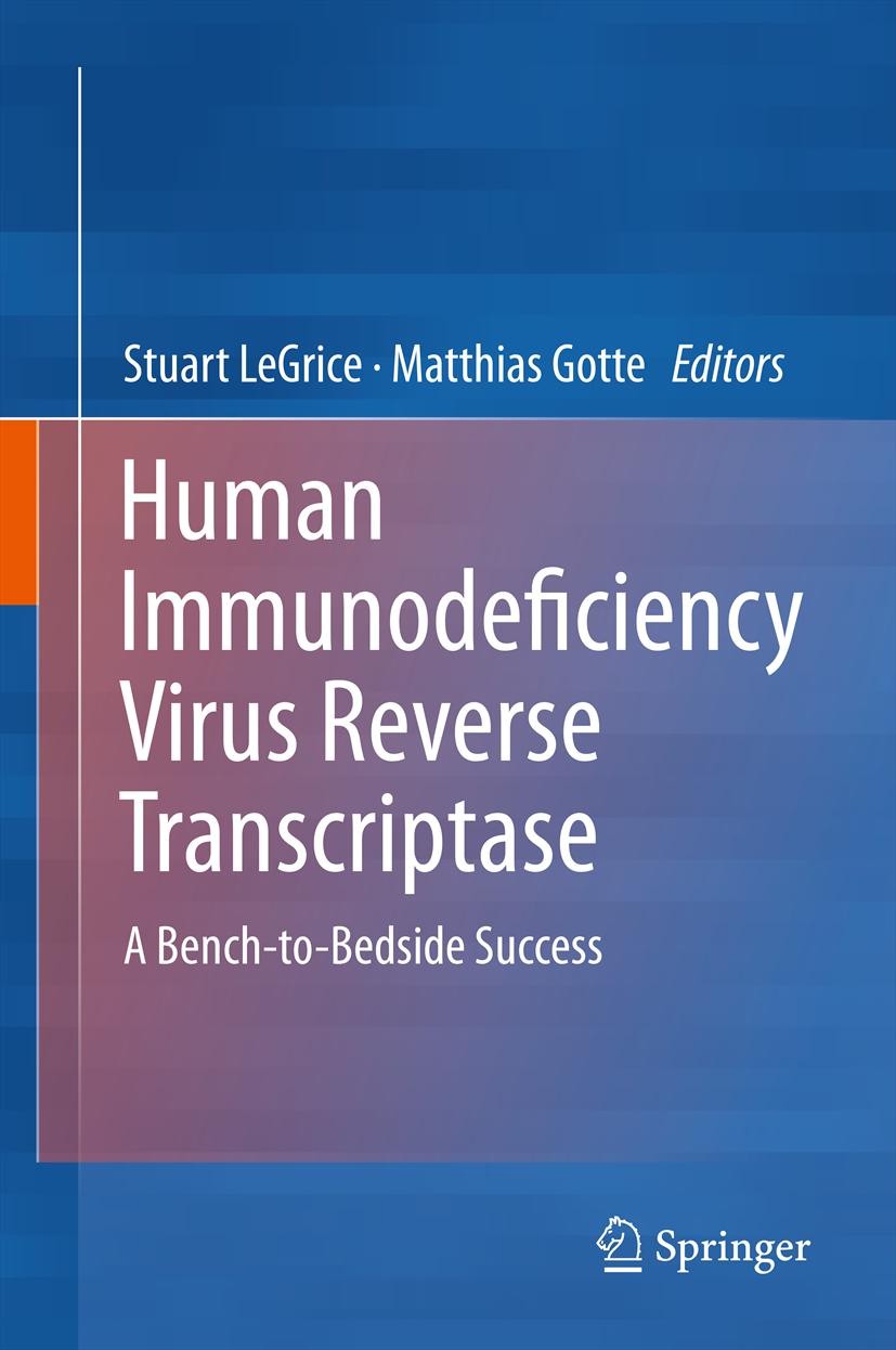 HIV Reverse Transcriptase Fidelity, Clade Diversity, and Acquisition of  Drug Resistance | SpringerLink