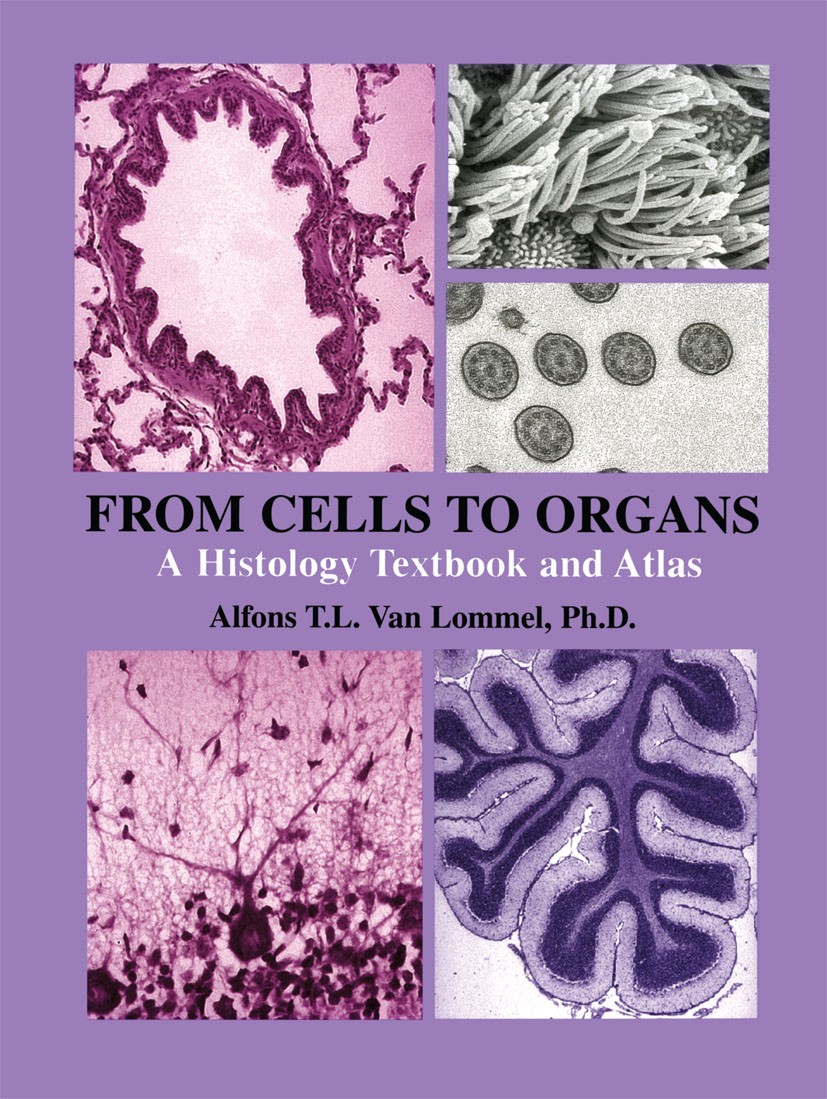 洋書 Cell and Organ Printing 洋書 Cell and Organ Printing Cell and Organ Printing