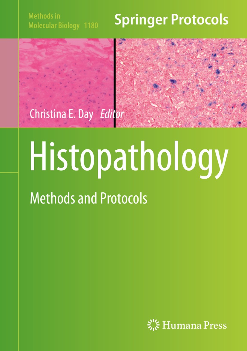 histopathology-ubicaciondepersonas-cdmx-gob-mx