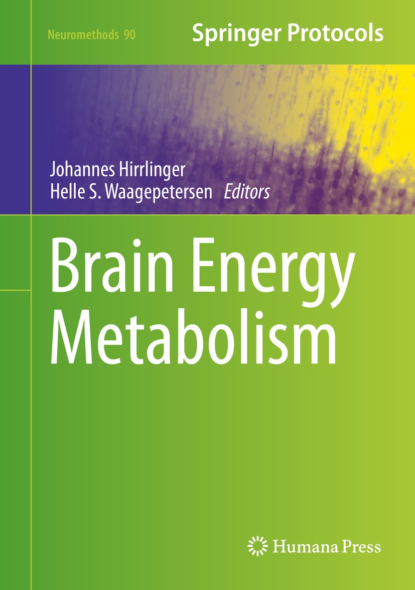 Brain Energy bolism 英語版 Brain Energy: A Revolutionary Breakthrough in Understanding