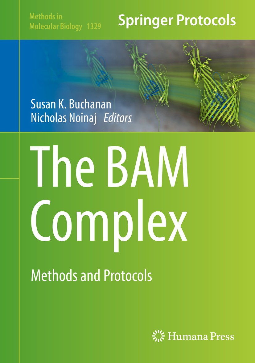 The BAM Complex